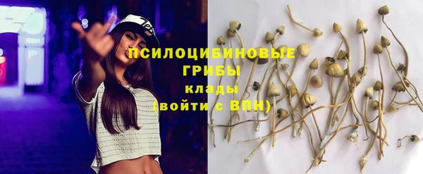 амф Абдулино