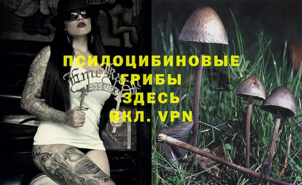 прущая мука Абаза