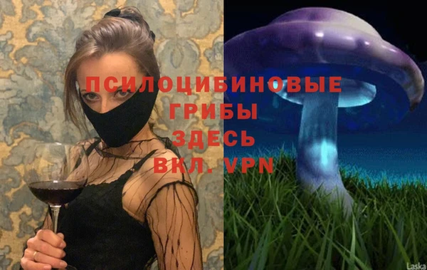 амф Абдулино
