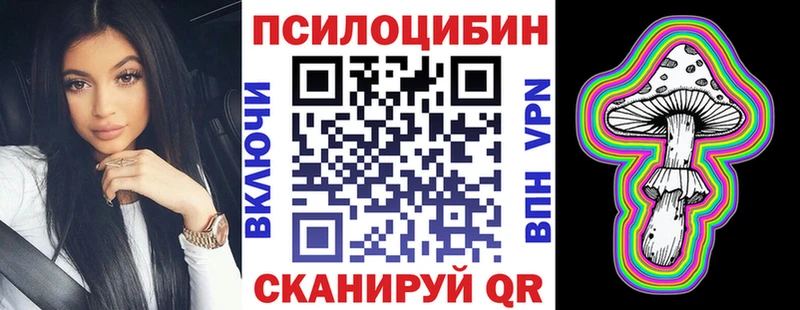 Псилоцибиновые грибы Cubensis  Красавино 